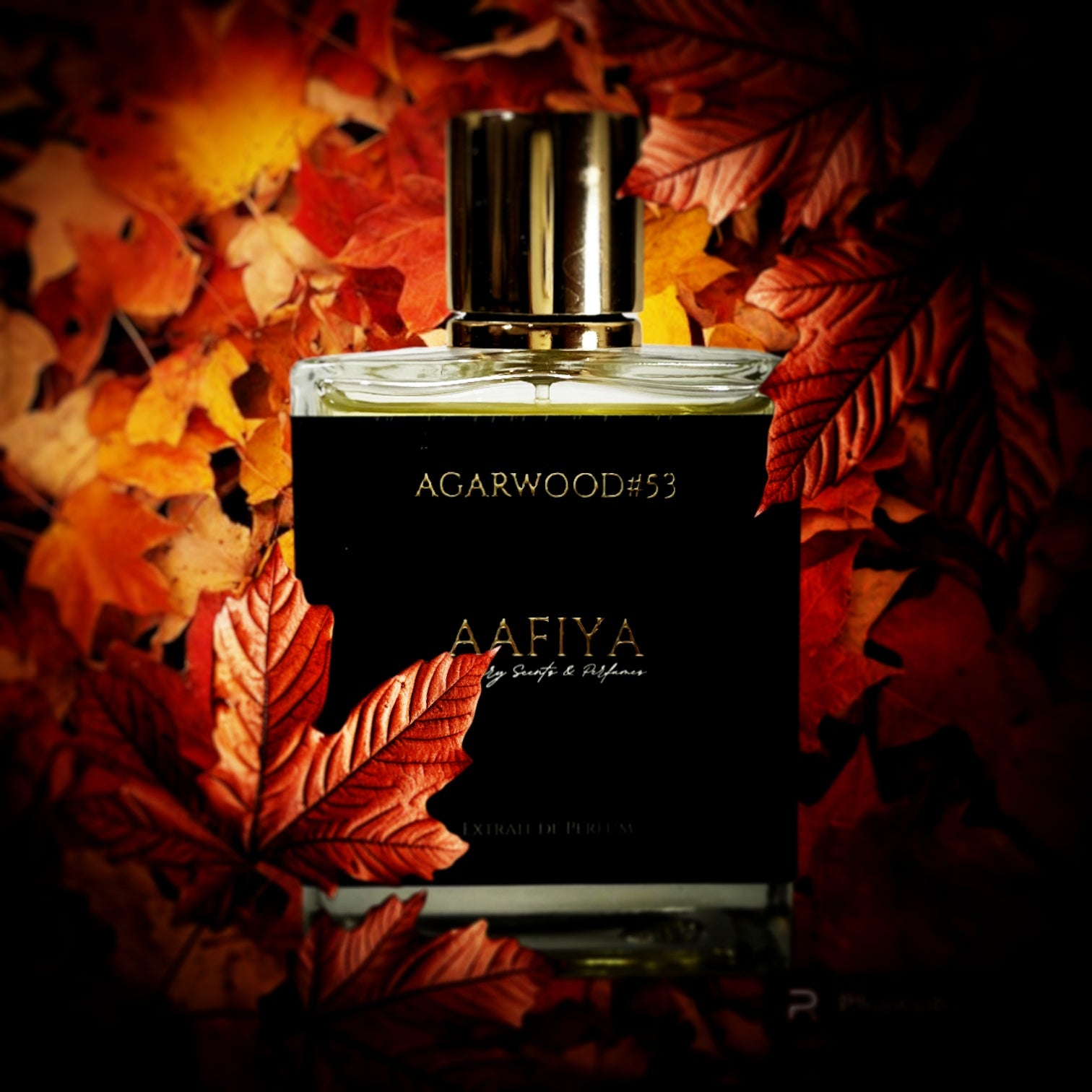 Agarwood#53 - Aafiya Luxury Scents & Perfumes